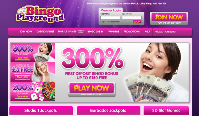 bingo playground bingo playground