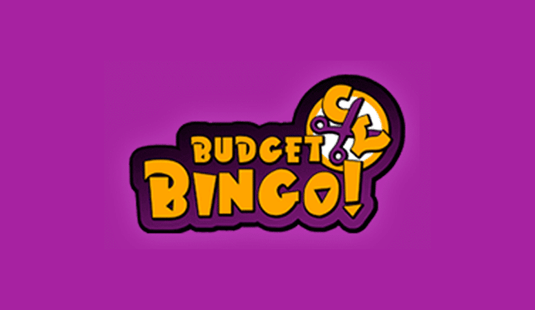 Budget Bingo