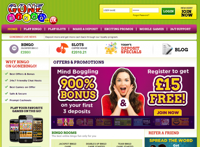 Gone Bingo 2013