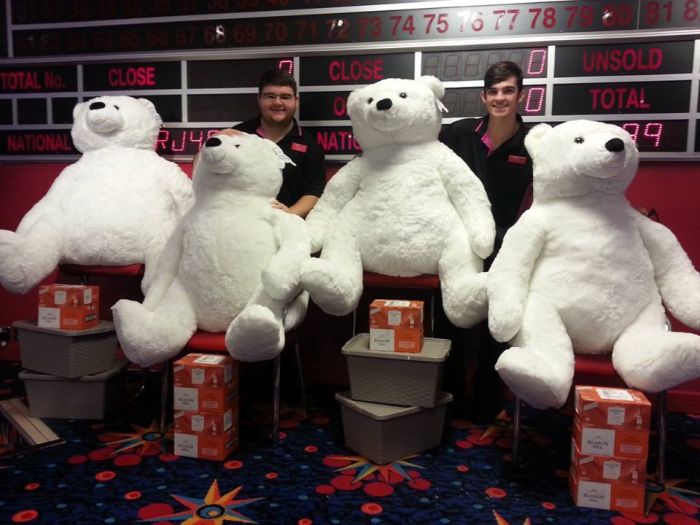 Win big cuddly bear toys!