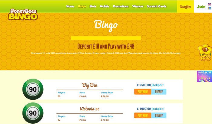 Bingo Bingo