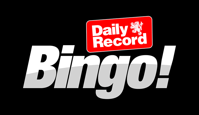 Daily Record Bingo