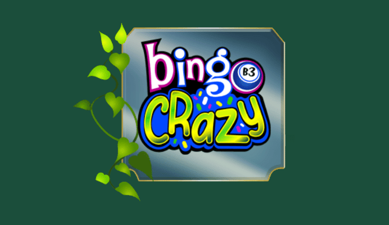 Bingo Crazy