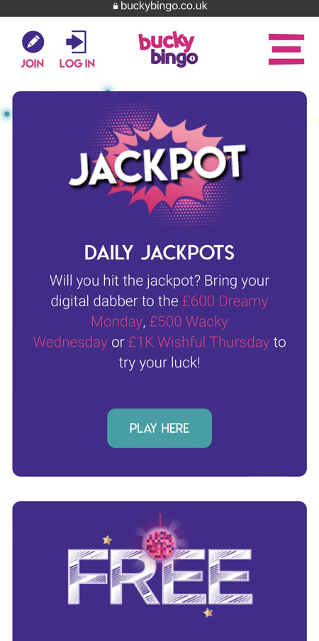 a screenshot of the bucky bingo homepage