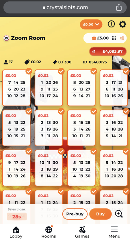 30-ball bingo tickets 