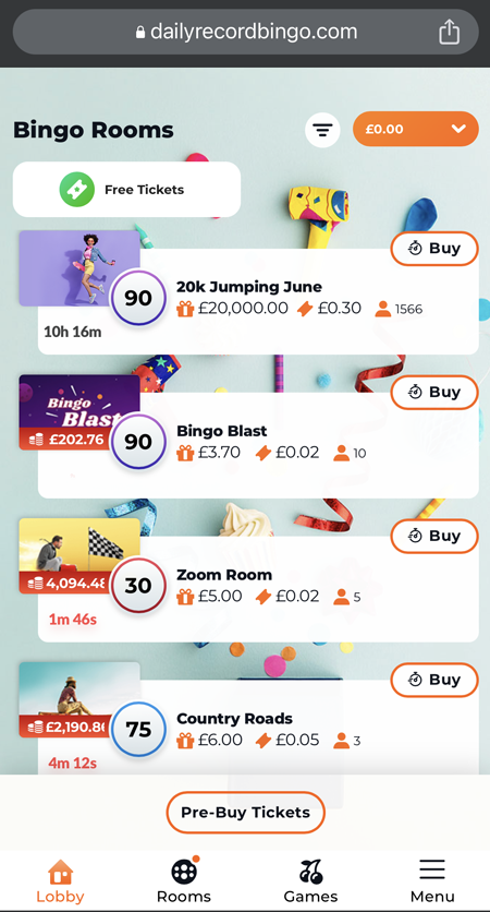 a screenshot of the Daily Record Bingo lobby 