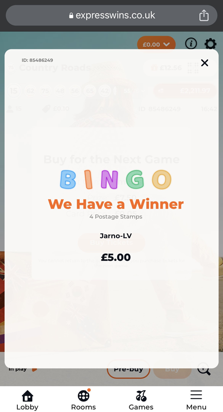 bingo game winner screenshot