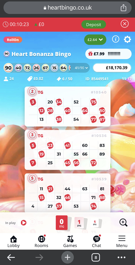 bingo gameplay screenshot
