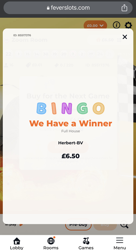 A bingo winner at Fever Slots 