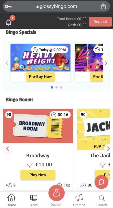  a picture of the Glossy Bingo homepage