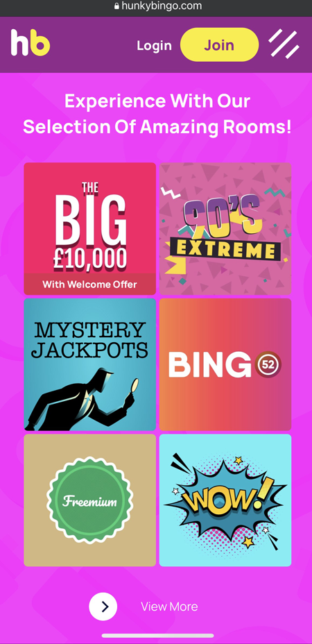 a screenshot of the Hunky Bingo gamepage