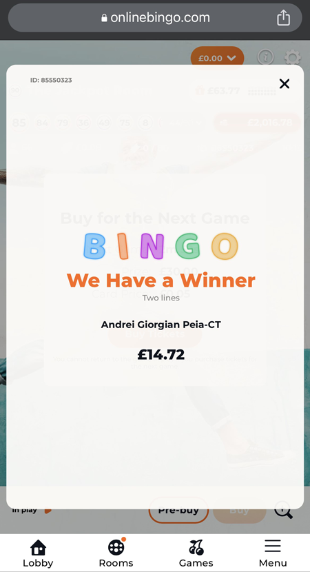 online bingo winner screenshot