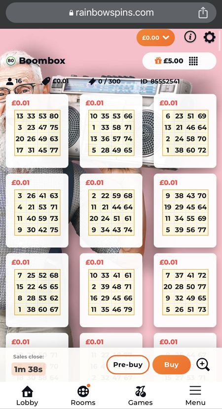 buying 80-ball bingo tickets