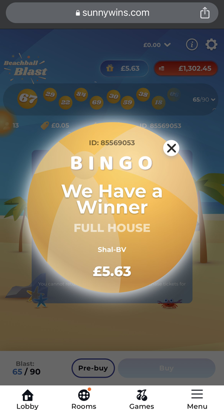 a capture of a Bingo Blast bingo game winner