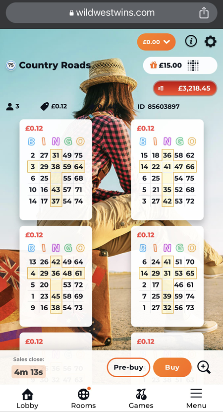 an image of the bingo tickets at Wild West Wins