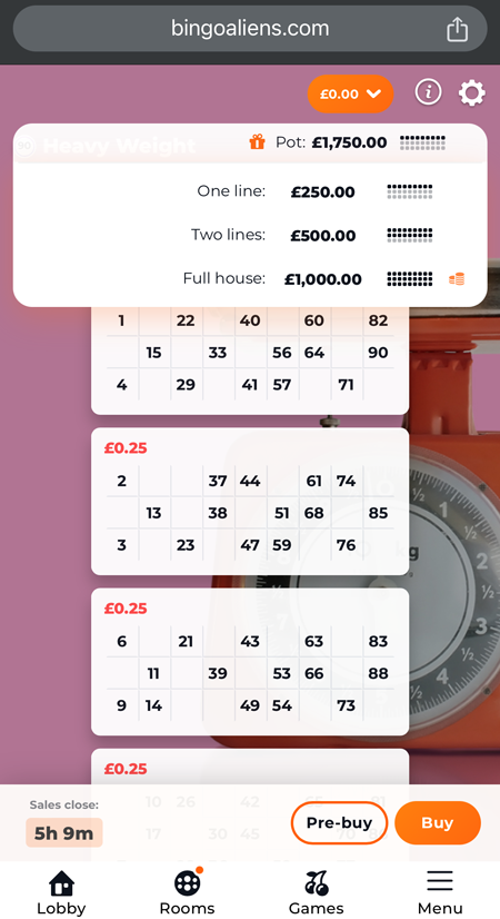 bingo prizes screenshot