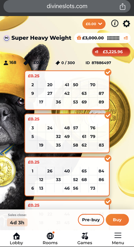 an mobile screenshot of the bingo tickets at Divine Slots