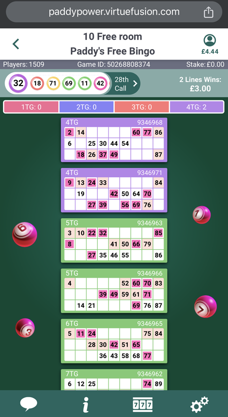 a screenshot of a free bingo game at paddy