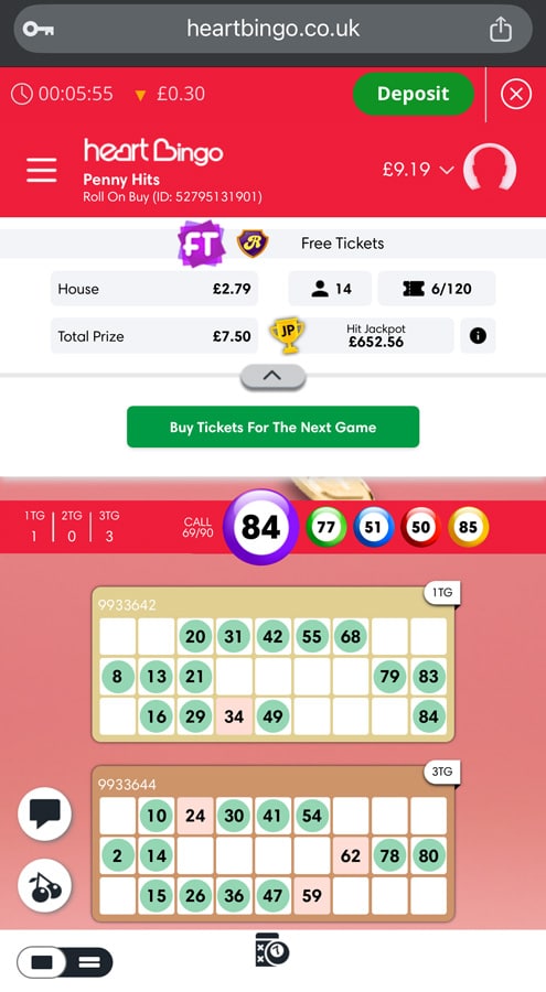 bingo gameplay screenshot