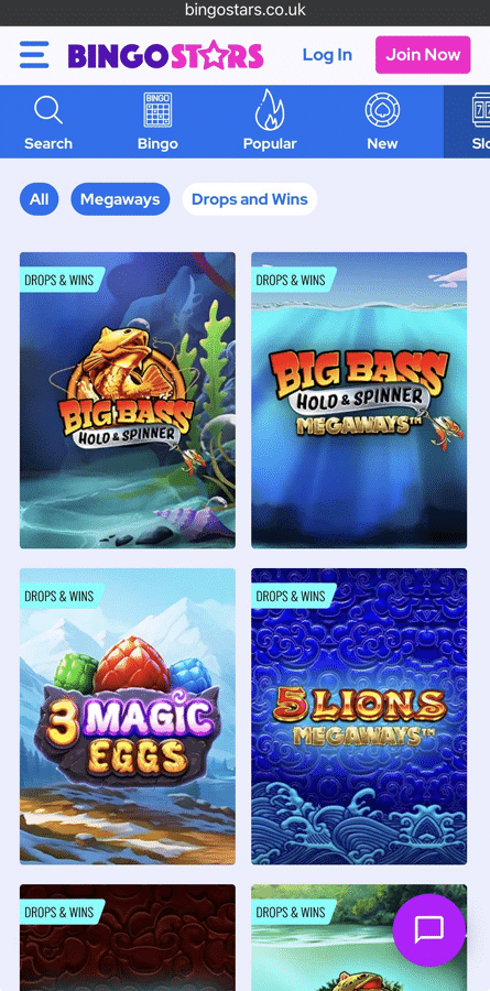 an image of the Bingostars slot games