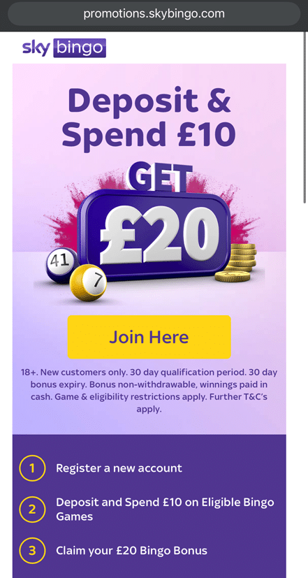 Sky Bingo welcome offer page