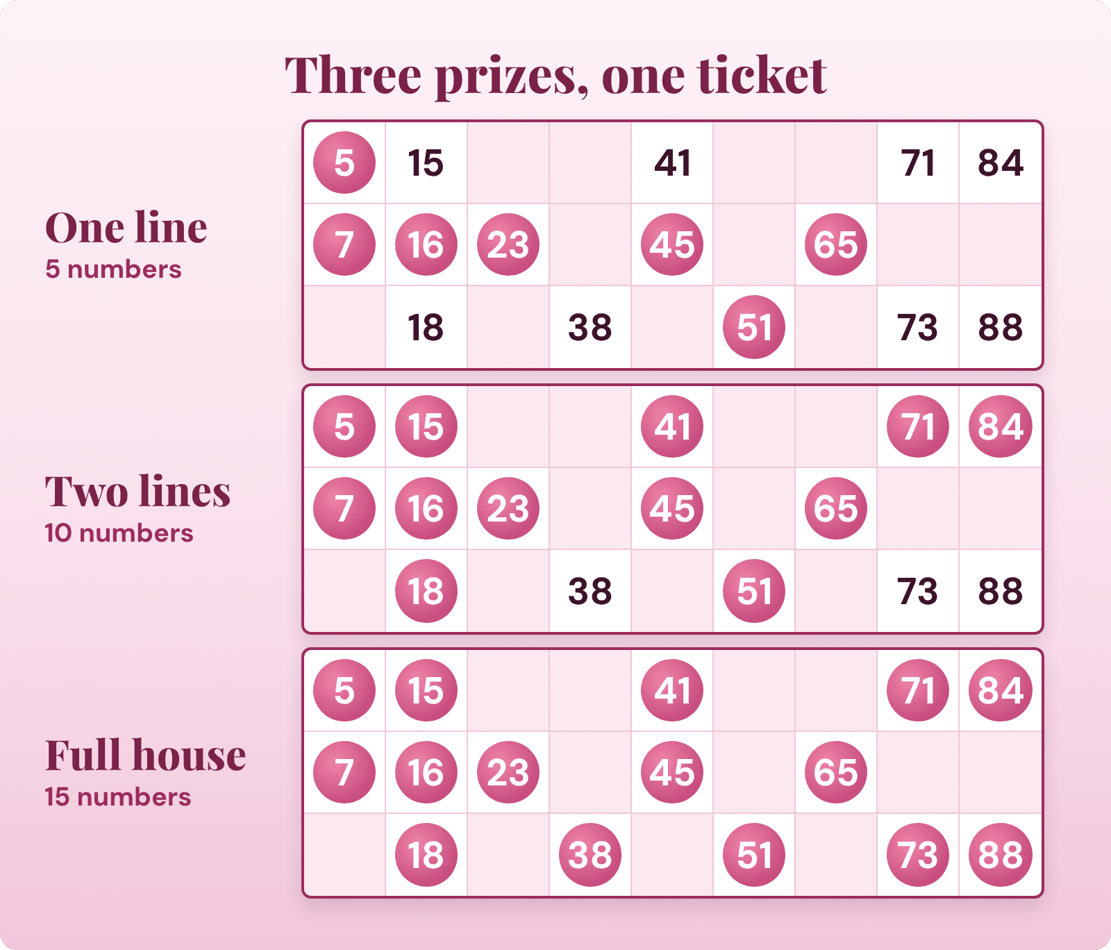 The three 90-ball bingo prizes shown on one ticket: one line, two lines and full house